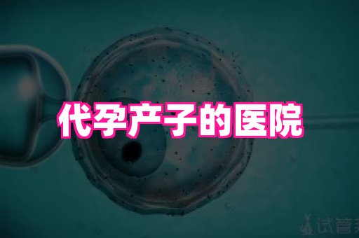 123试管孕网 4